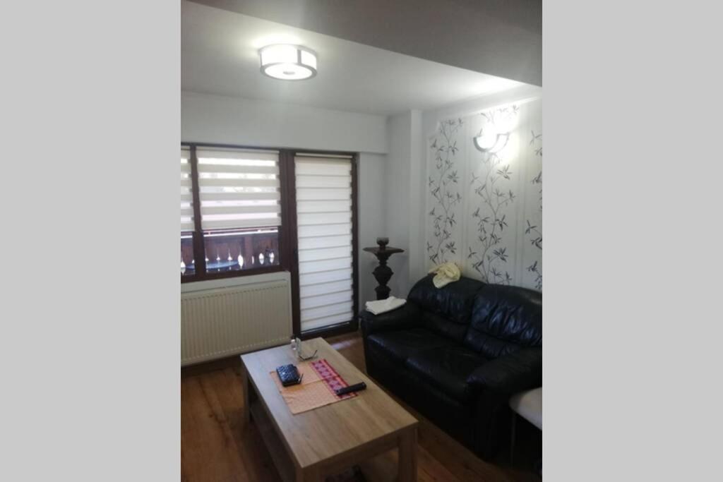 Large Vacation Apartment In Poiana Brašov Exteriér fotografie